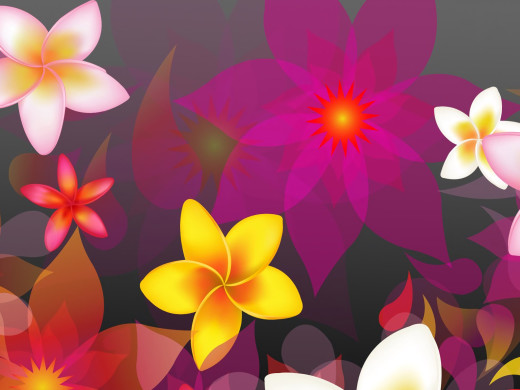 1040385 (a): :2048x1536